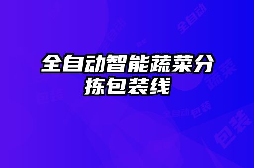 全自動(dòng)智能蔬菜分揀包裝線