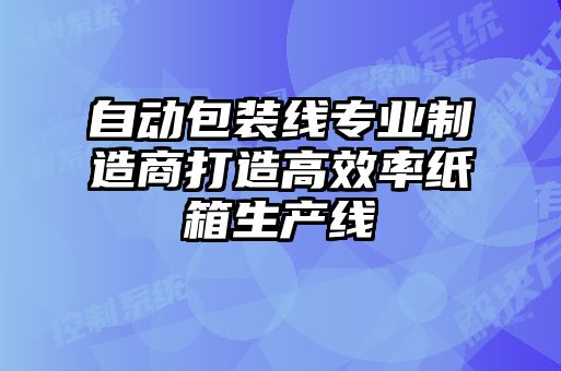 自動包裝線專業制造商打造高效率紙箱生產線