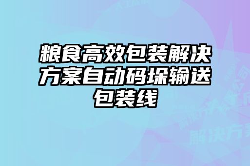 糧食高效包裝解決方案自動碼垛輸送包裝線