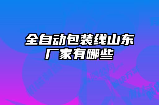 全自動包裝線山東廠家有哪些